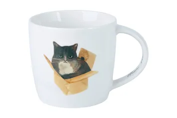 Кружки Кружка 0.4л "Кот в коробке" в п/у.